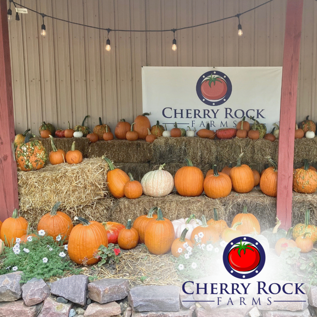 cherry rock