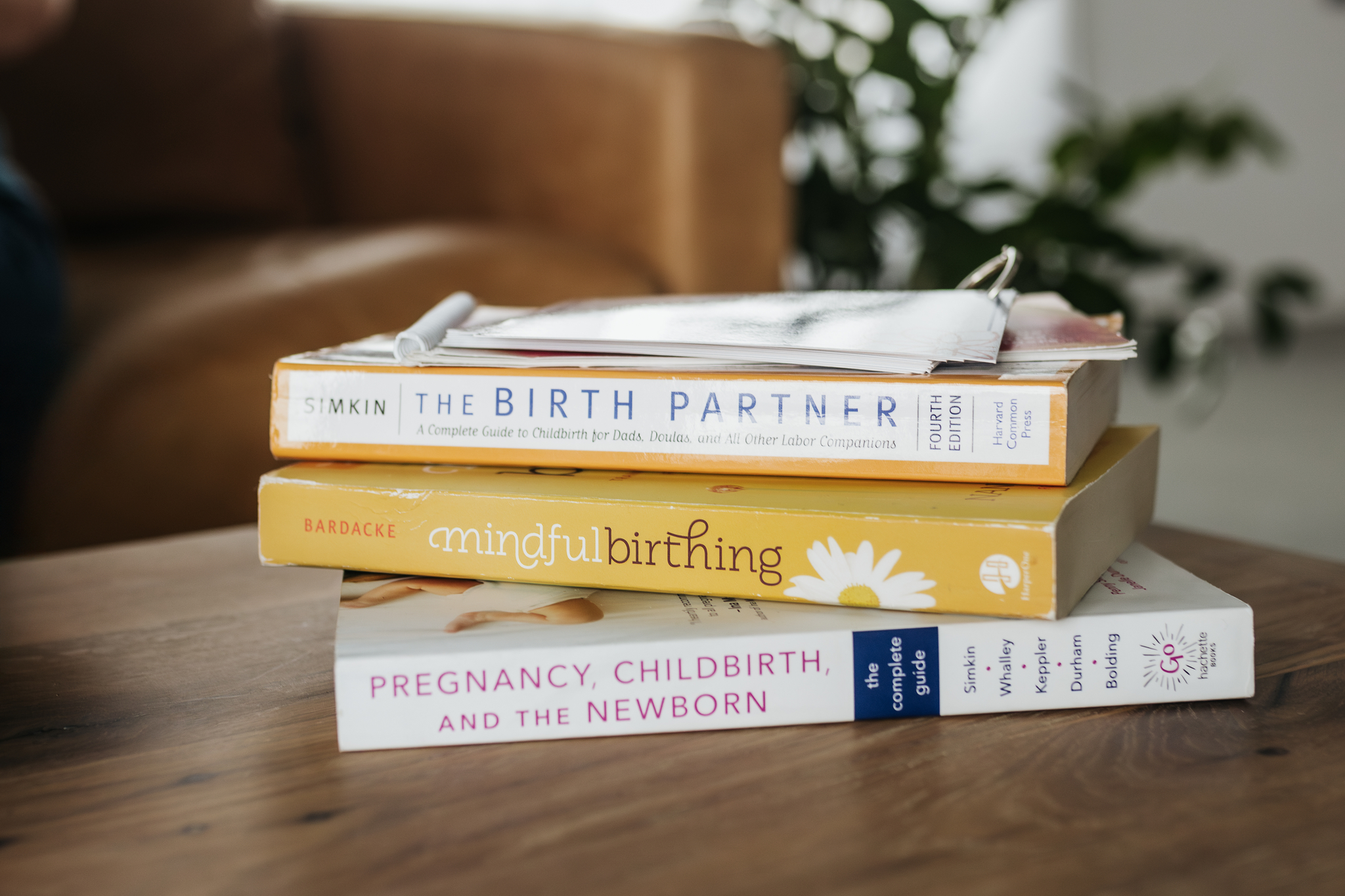 Mindful Birthing - April/May Series