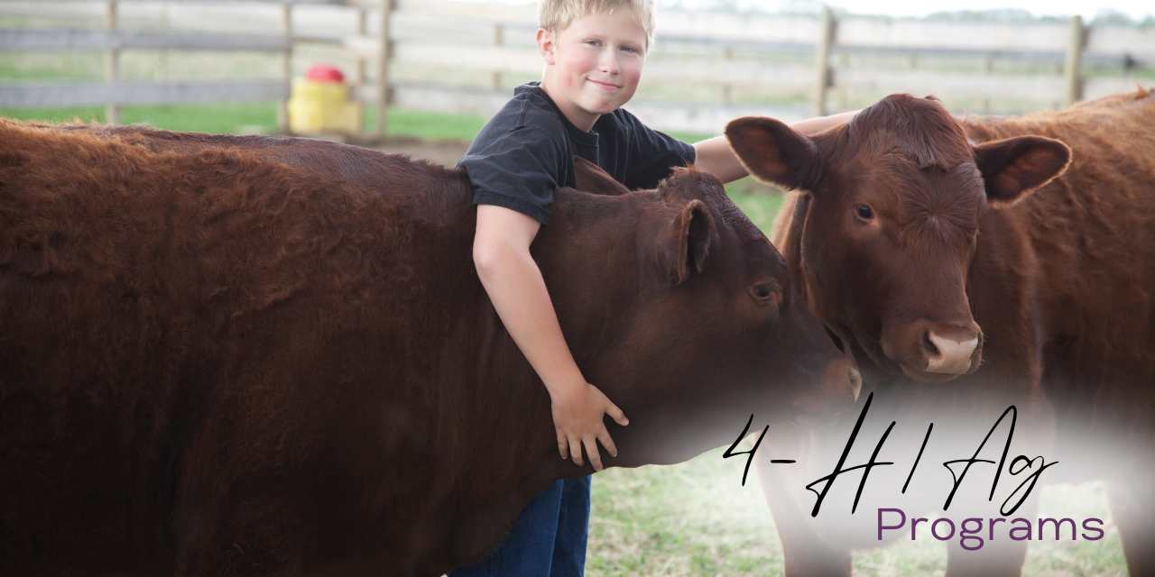 Activities Guide (1) 4-H / Ag