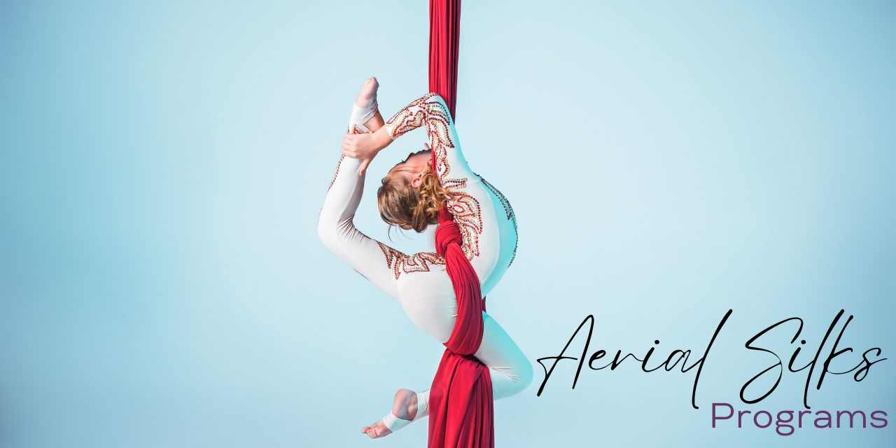Aerial Silks Aerial Silks