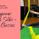 Kids Beginner Aerial Silks
