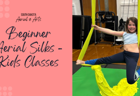 Kids Beginner Aerial Silks
