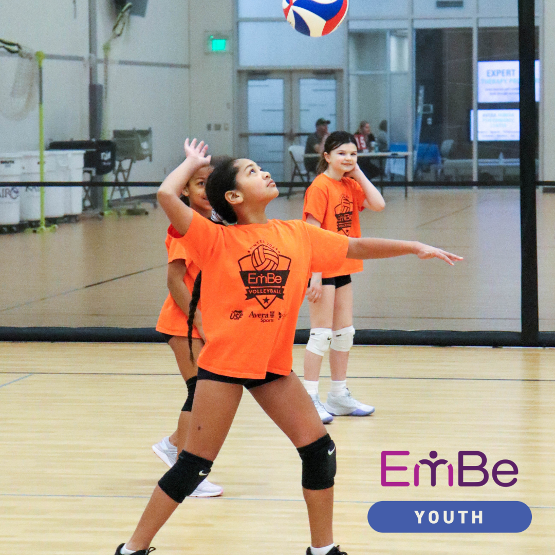 volleyball volleyball