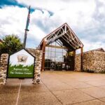 Outdoor Adventure Camp for 8-12 year old