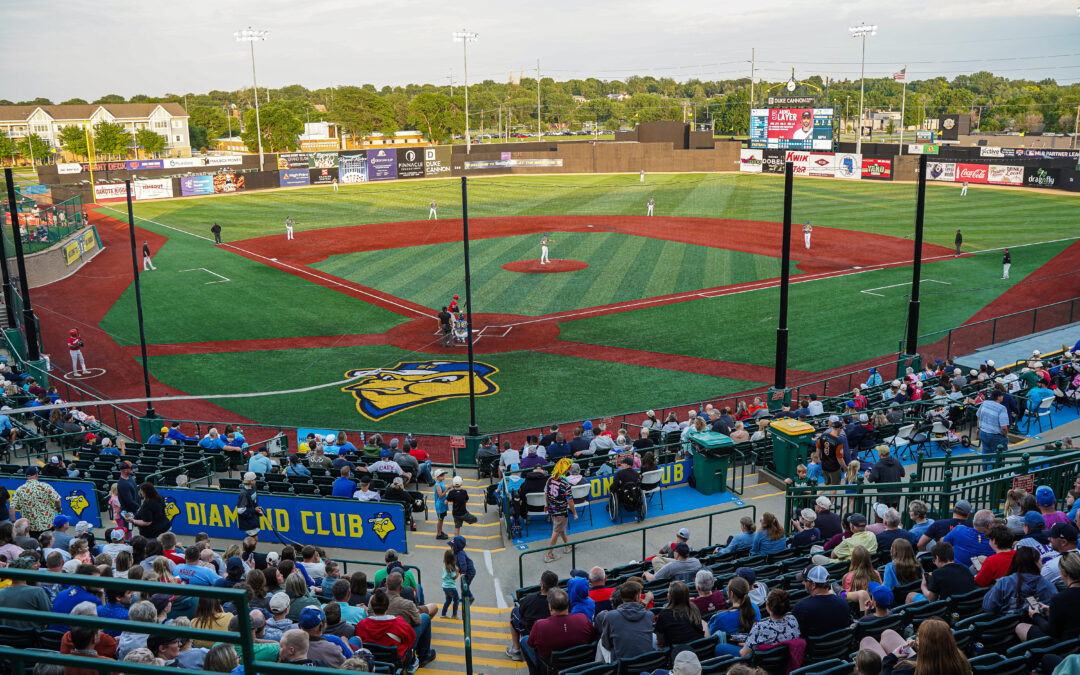 7 Things Every Family Should Know Before Heading to a Canaries Game