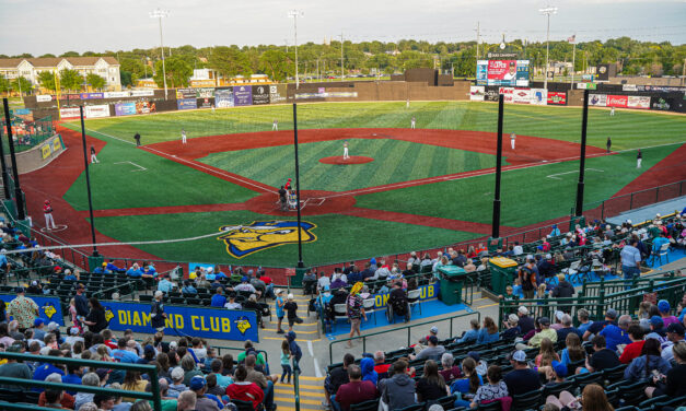 7 Things Every Family Should Know Before Heading to a Canaries Game