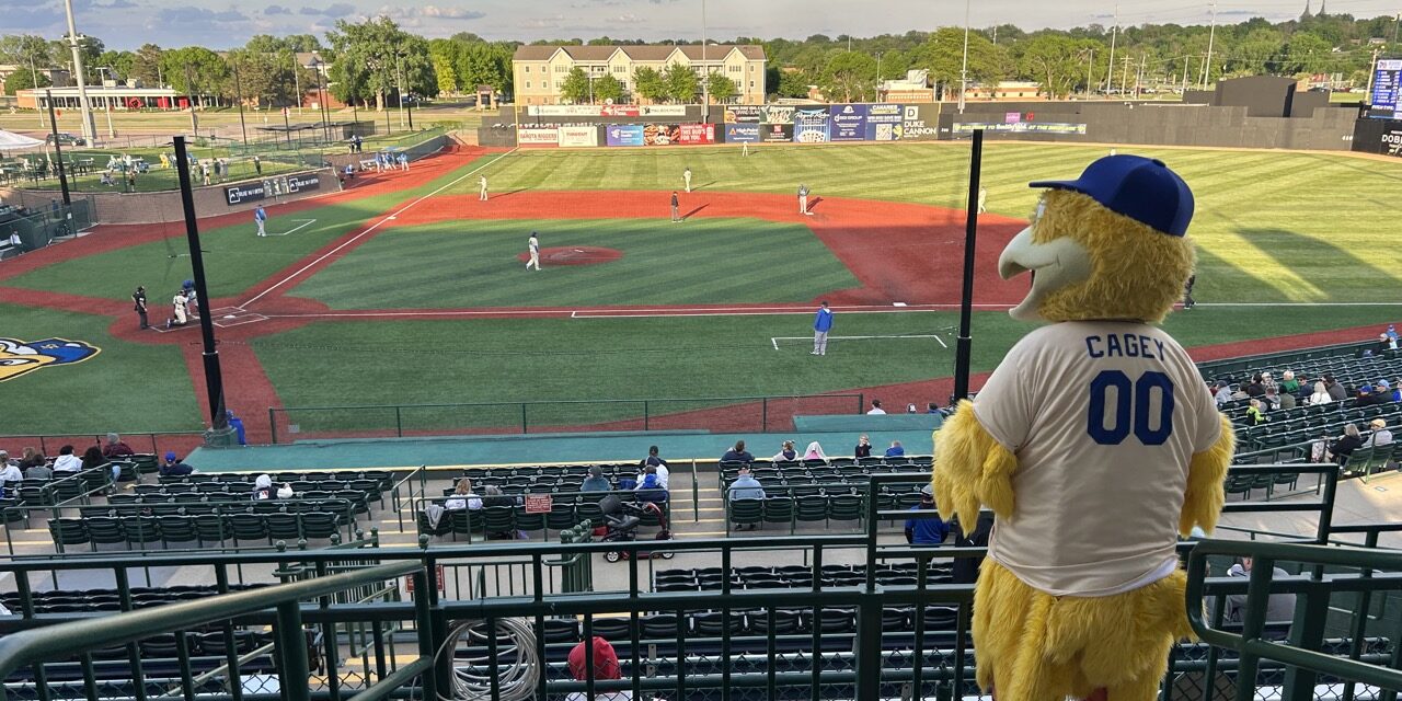 7 Things Every Family Should Know Before Heading to a Canaries Game