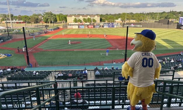 7 Things Every Family Should Know Before Heading to a Canaries Game