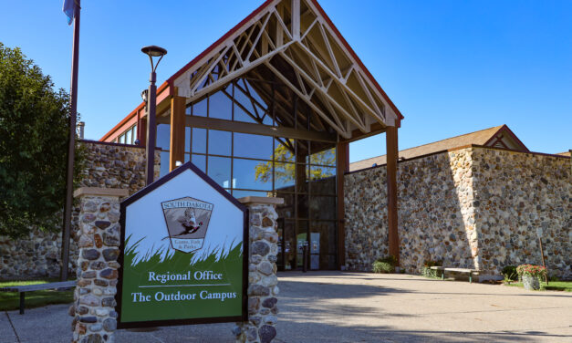 Pop-Up Nature Night Trivia