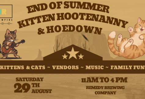End of Summer Kitten Hootenanny & Hoedown