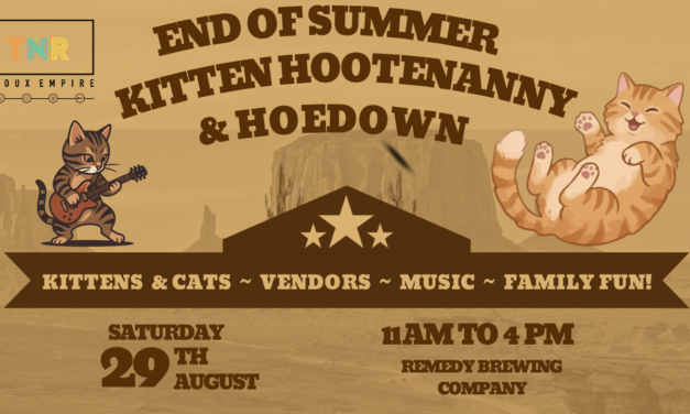 End of Summer Kitten Hootenanny & Hoedown