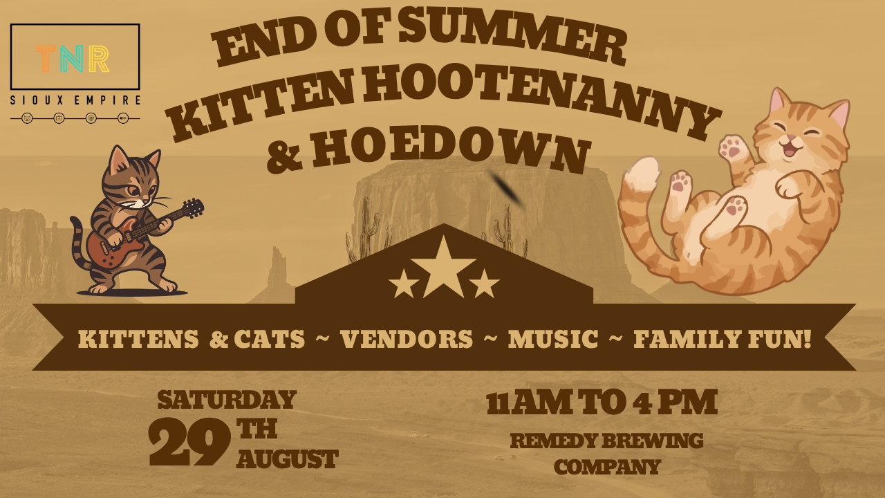 End of Summer Kitten Hootenanny & Hoedown