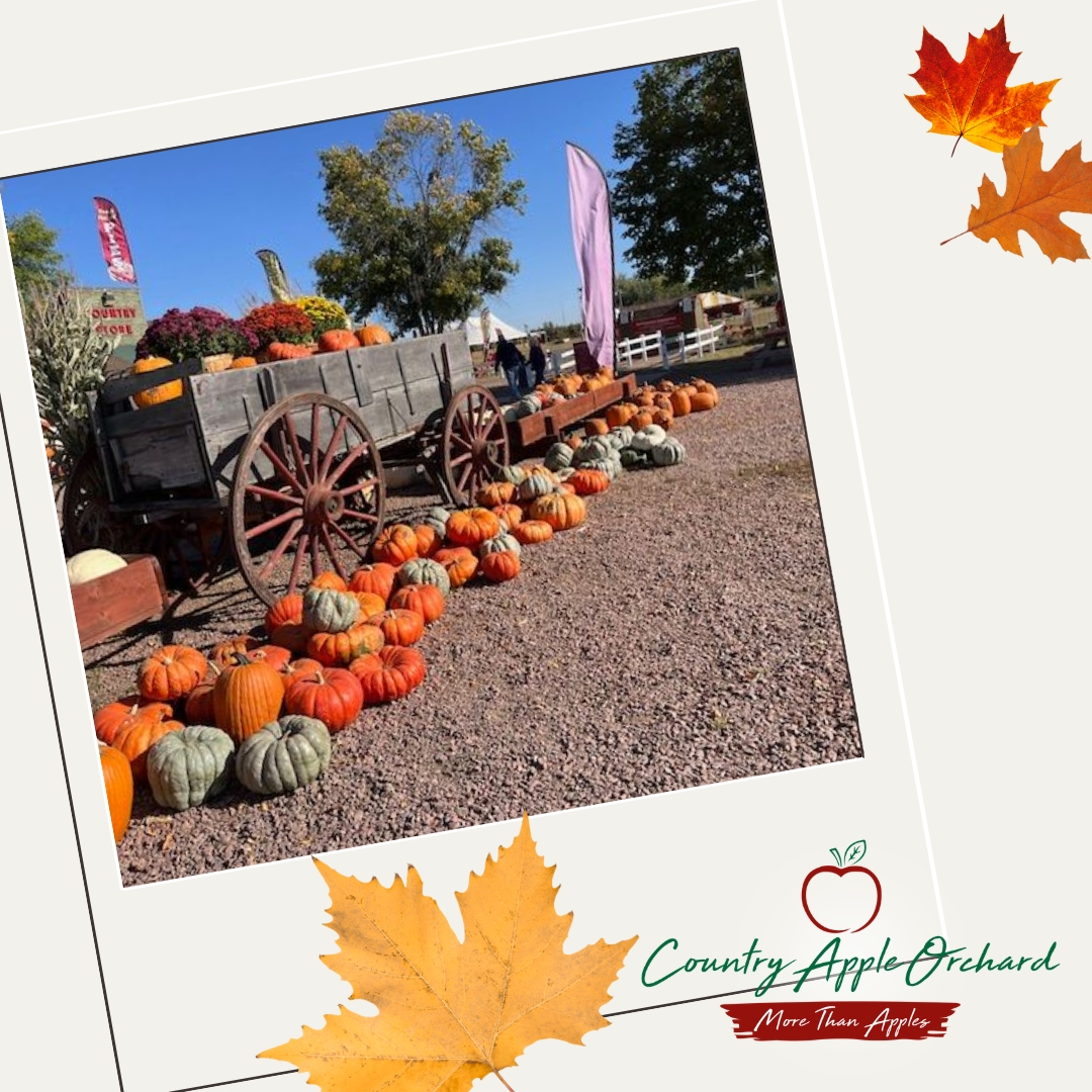 country apple orchard