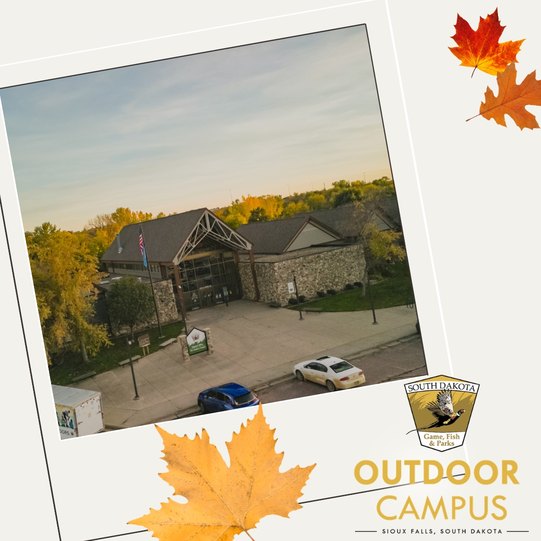 Fall Fun Outdoor Campus
