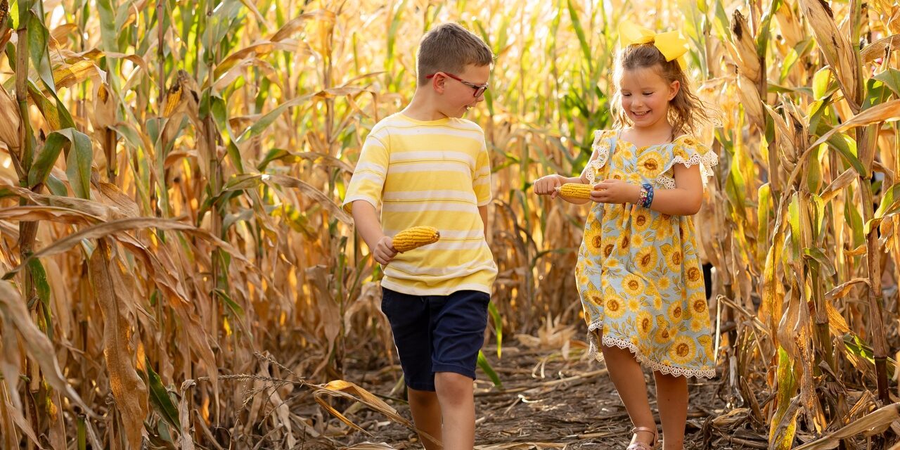 Fall Into Family Fun at Jellystone Park 