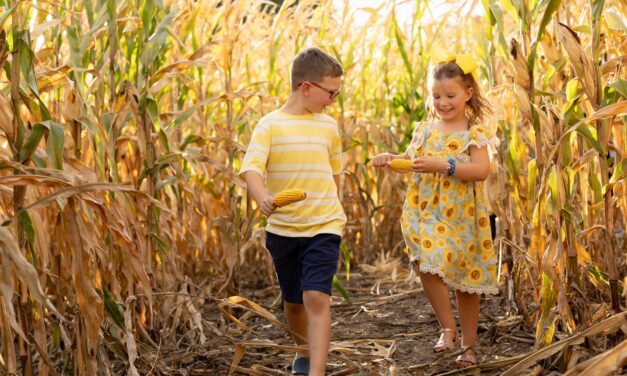 Fall Into Family Fun at Jellystone Park 
