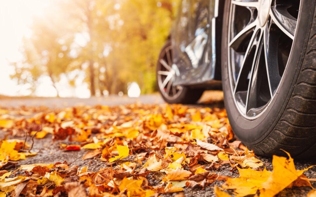 Fall Day Trips From Sioux Falls: 6 Family Adventures Worth the Drive