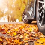 Fall Day Trips From Sioux Falls: 6 Family Adventures Worth the Drive