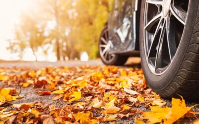 Fall Day Trips From Sioux Falls: 6 Family Adventures Worth the Drive