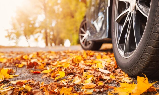 Fall Day Trips From Sioux Falls: 6 Family Adventures Worth the Drive