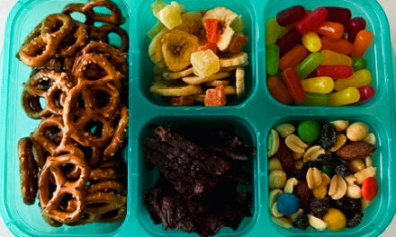 Snackle Boxes: Healthy Snacking Made Easy