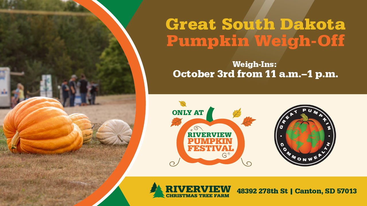 Riverview Pumpkin Festival: Great SD Pumpkin Weigh-Off