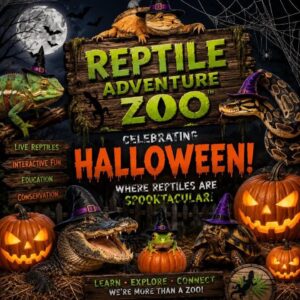 Reptile Zoo Boo