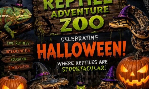 Reptile Zoo Boo