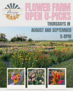 Open U-Pick at Van Grouw Acres