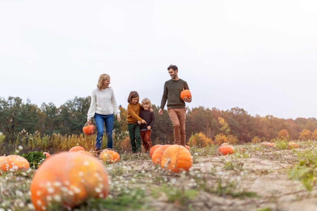 Fall Fun
